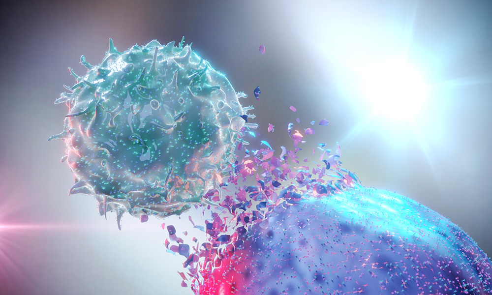 An illustration shows a natural killer cell attacking a cancer cell